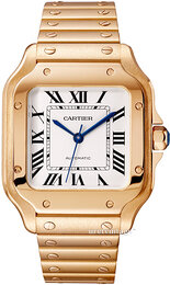 Cartier Santos De Cartier WGSA0031