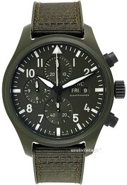 IWC Pilots IW389106