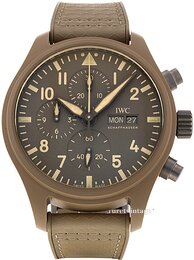 IWC Pilots IW389103
