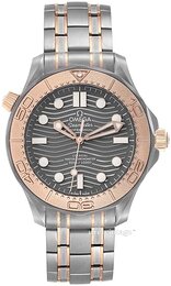 Omega Seamaster Diver 300M 210.60.42.20.99.001