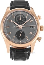 IWC Portuguese IW390405