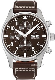 IWC Pilots IW377713