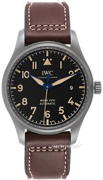 IWC Pilots IW327006